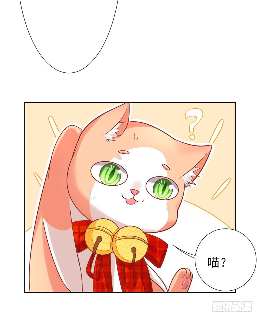 终于来了21