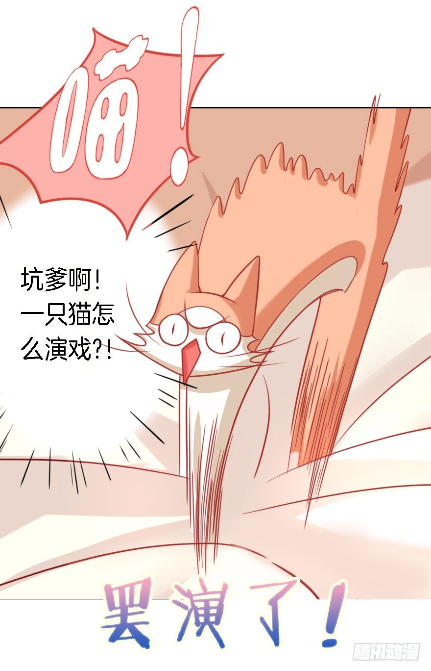 我们是个正经的预告！7