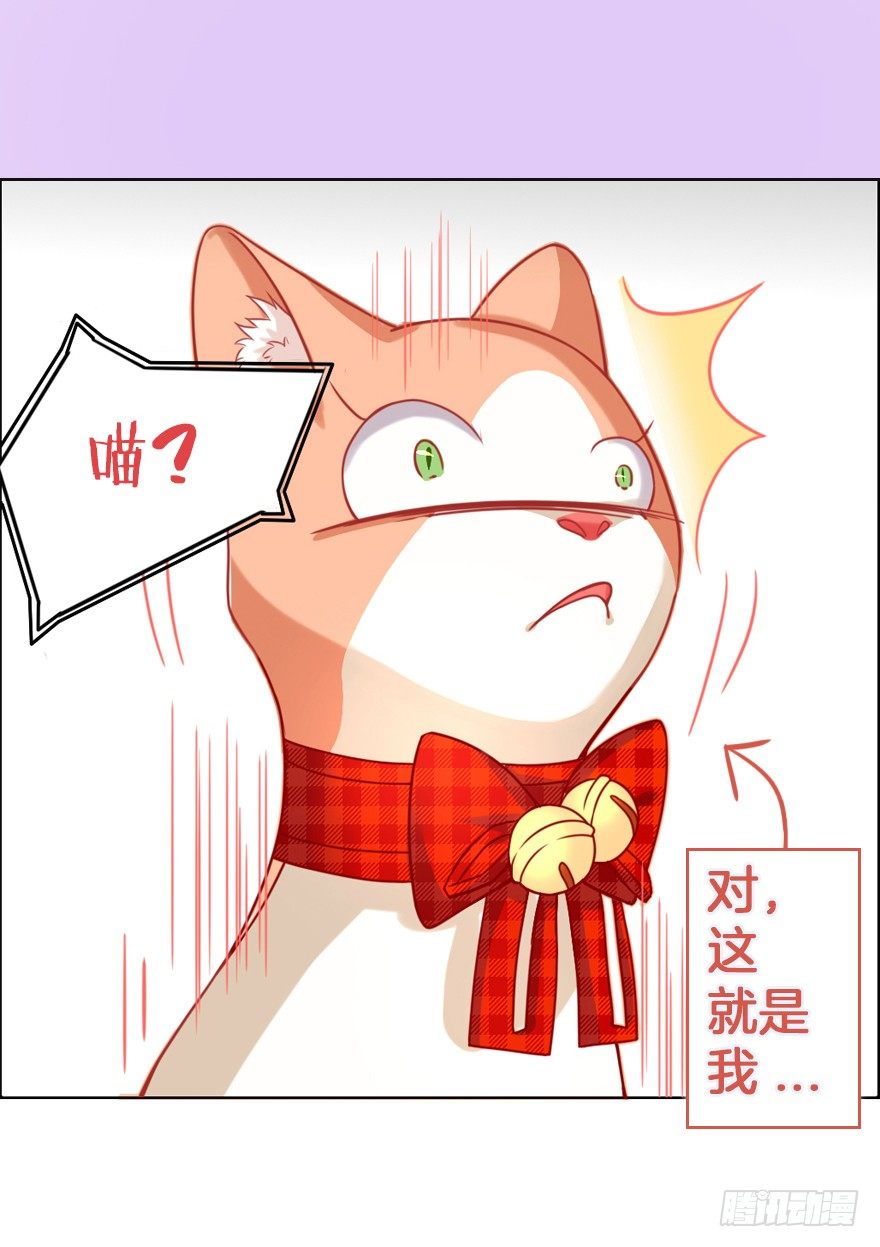 我们是个正经的预告！6