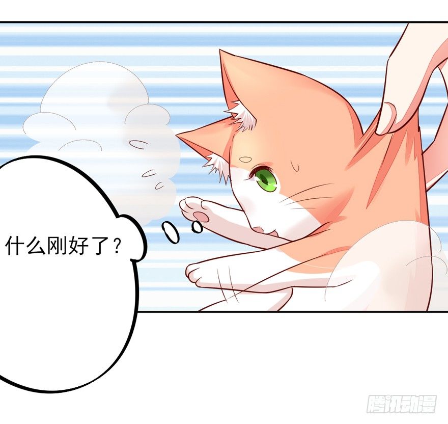 一起洗澡澡3