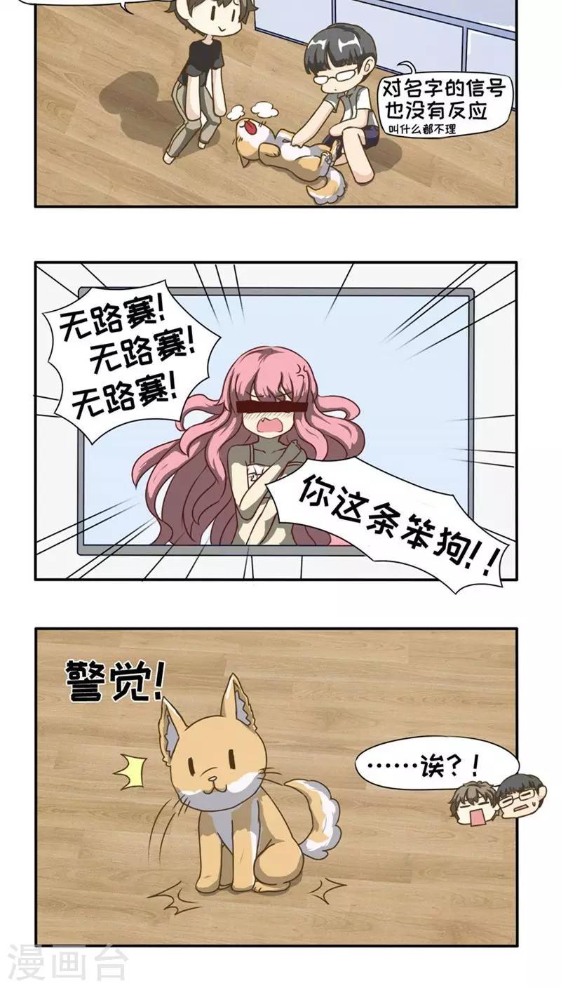 第11话17