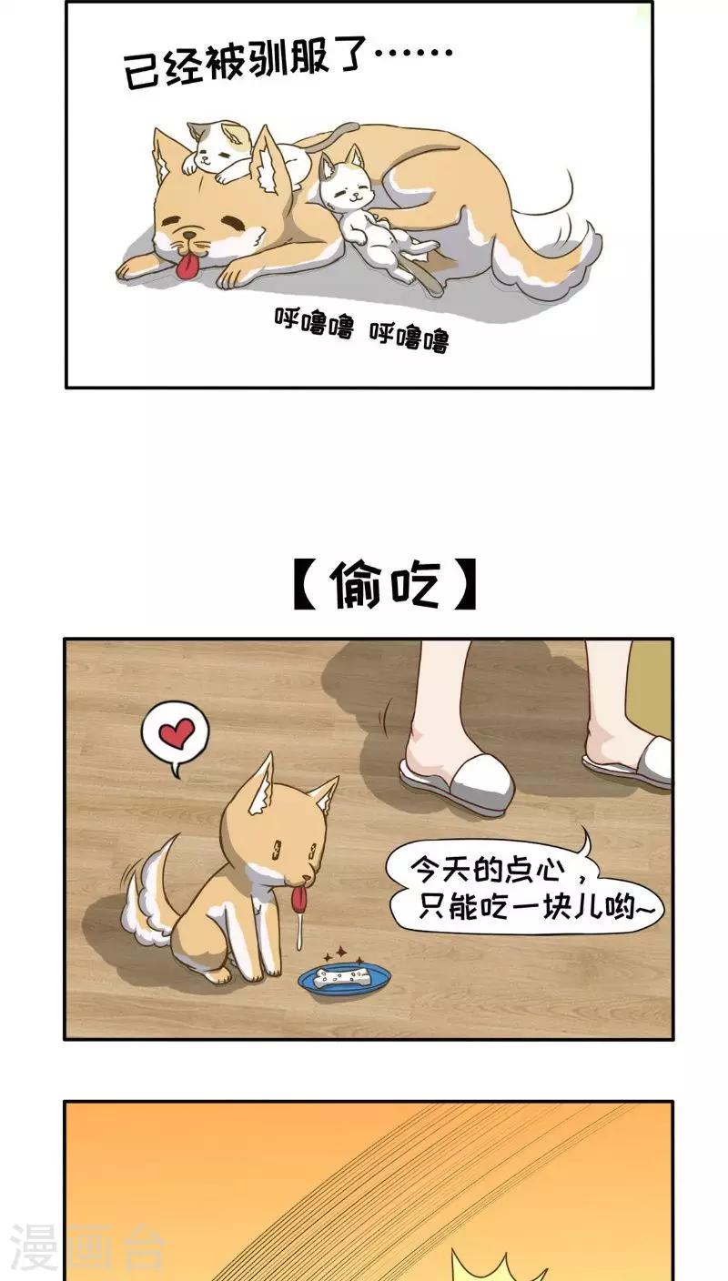 第11话11