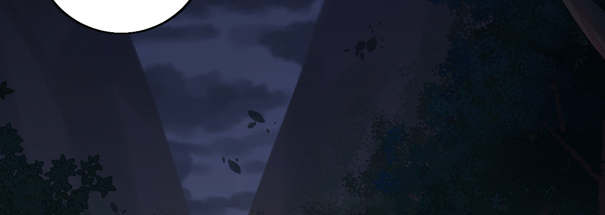 白指猞猁117