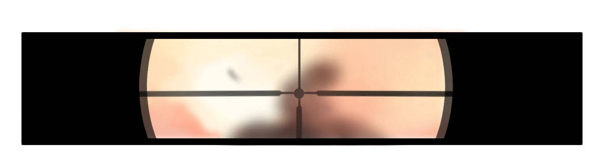 白指猞猁27