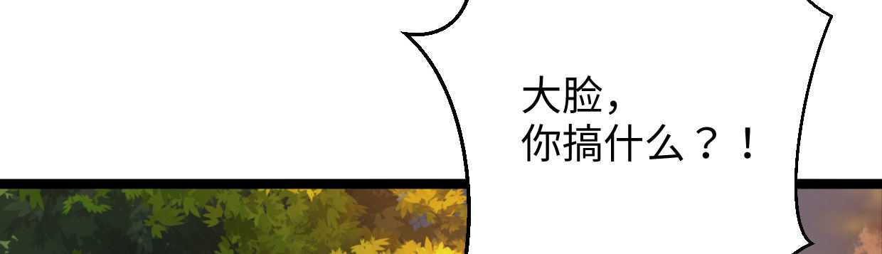 白指猞猁65