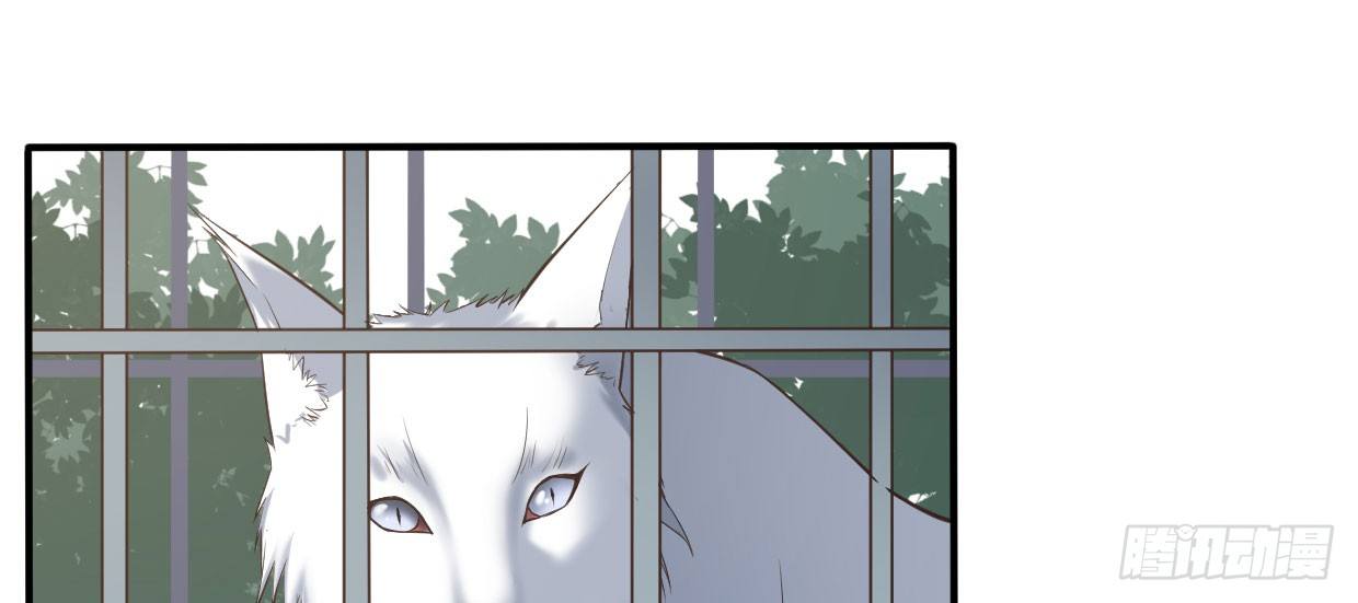 可怜之人79