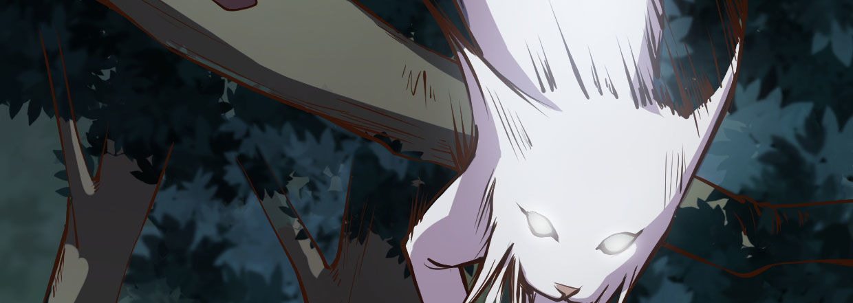 白指猞猁229