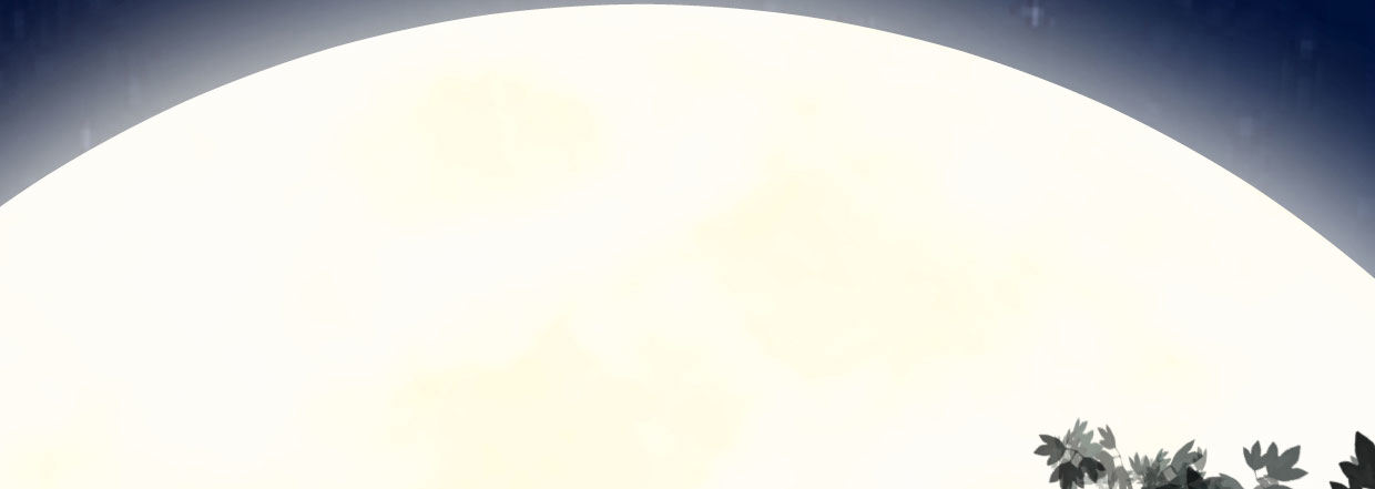 白指猞猁236