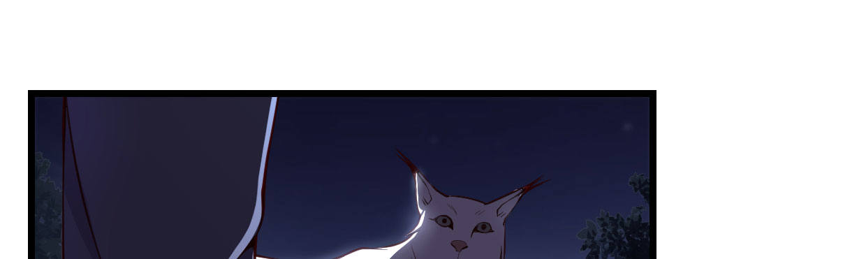 白指猞猁206