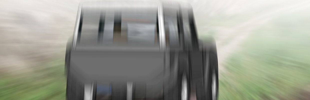 鳞片26