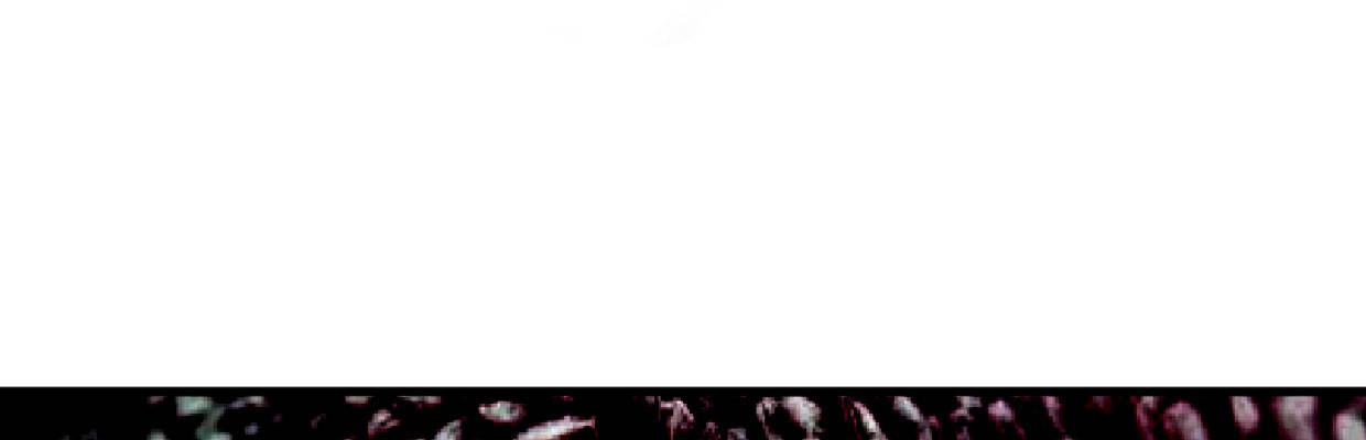 新的发现17