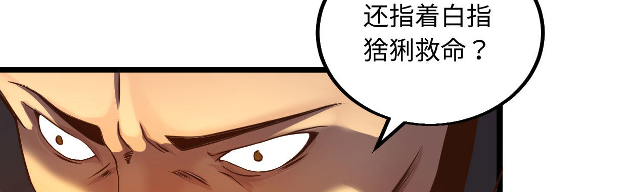 白指猞猁162