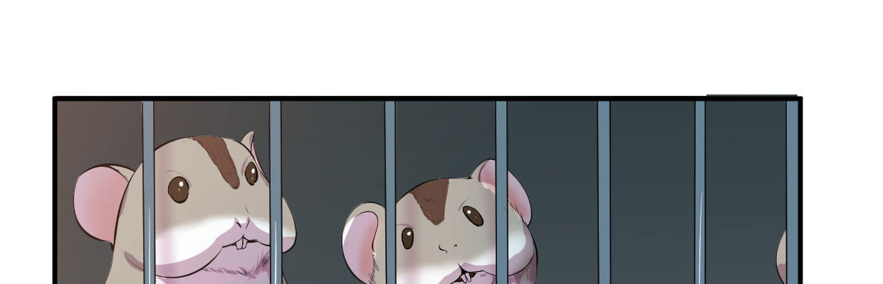 新的发现80
