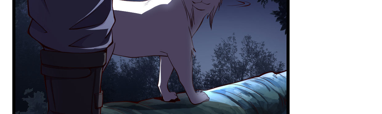 白指猞猁207