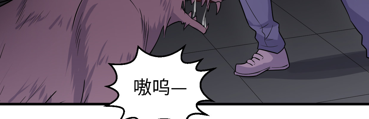 真正的力量84