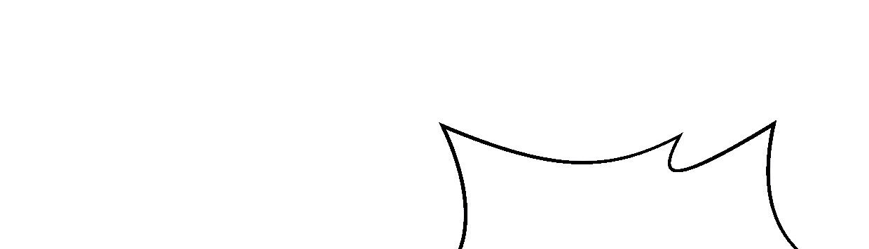 白指猞猁64