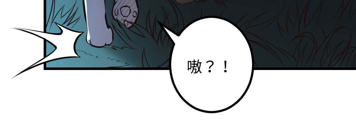 穿心之刃123