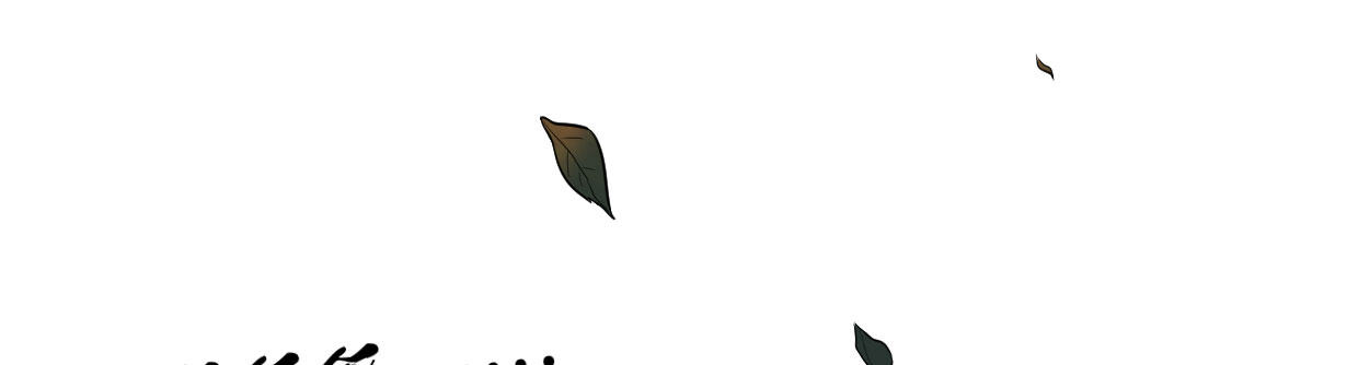 白指猞猁15