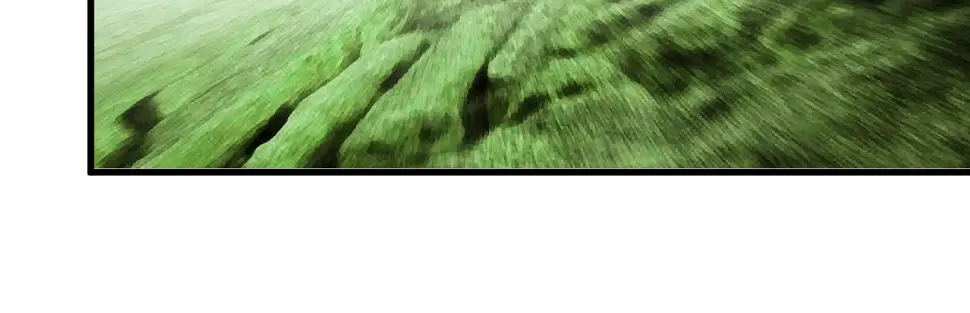 鳞片7