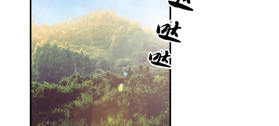 兄长之礼5