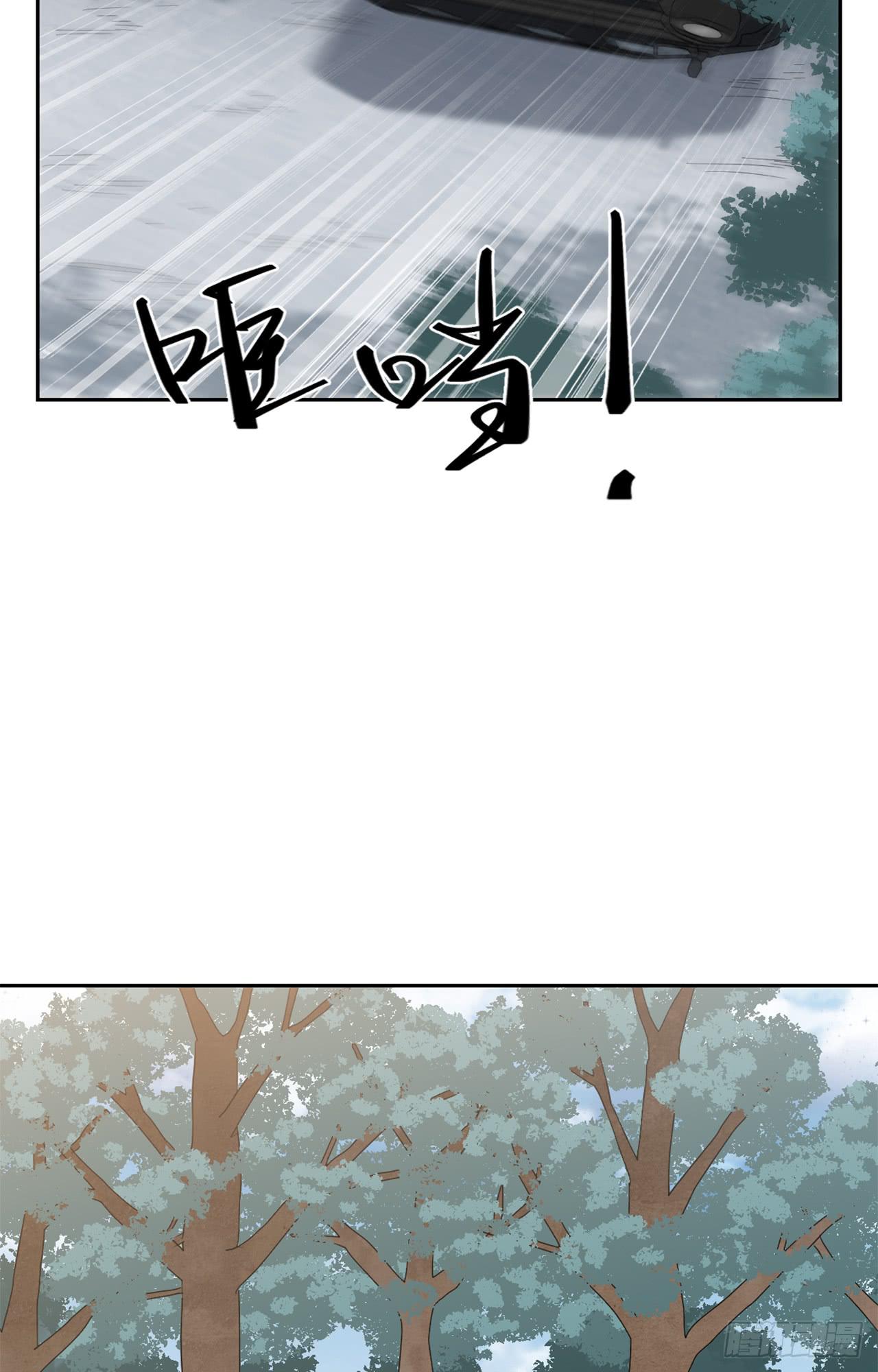 丛林伏击！40