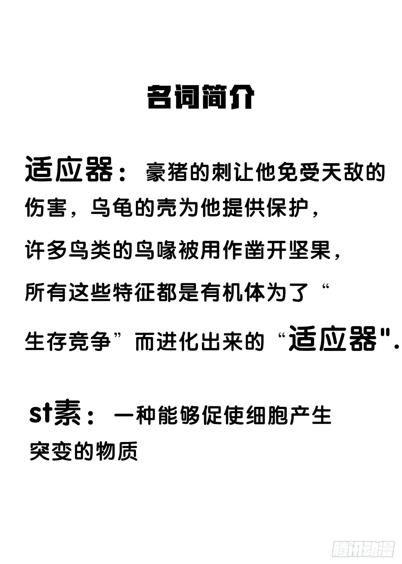 夜晚的景色62