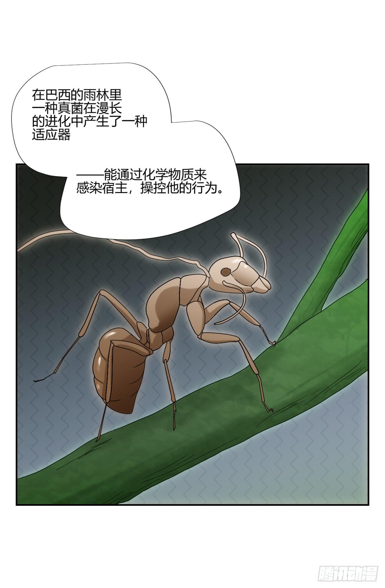 审问48