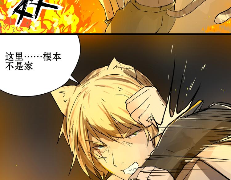 完结篇：猫，我不想失去你！1