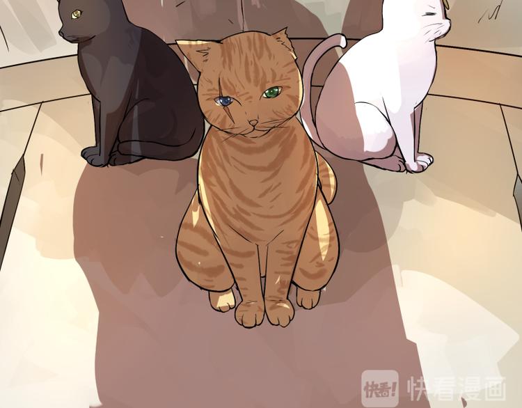 完结篇：猫，我不想失去你！36