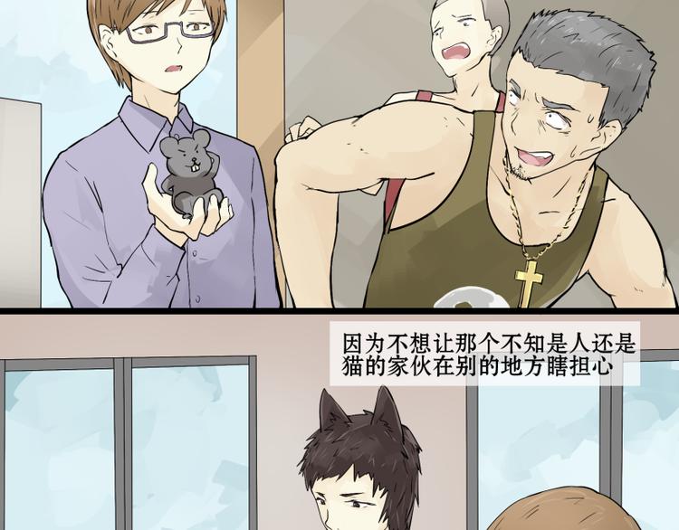 完结篇：猫，我不想失去你！31