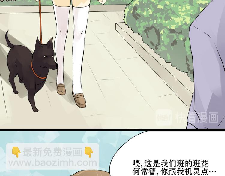 第8话 猫狗相遇3