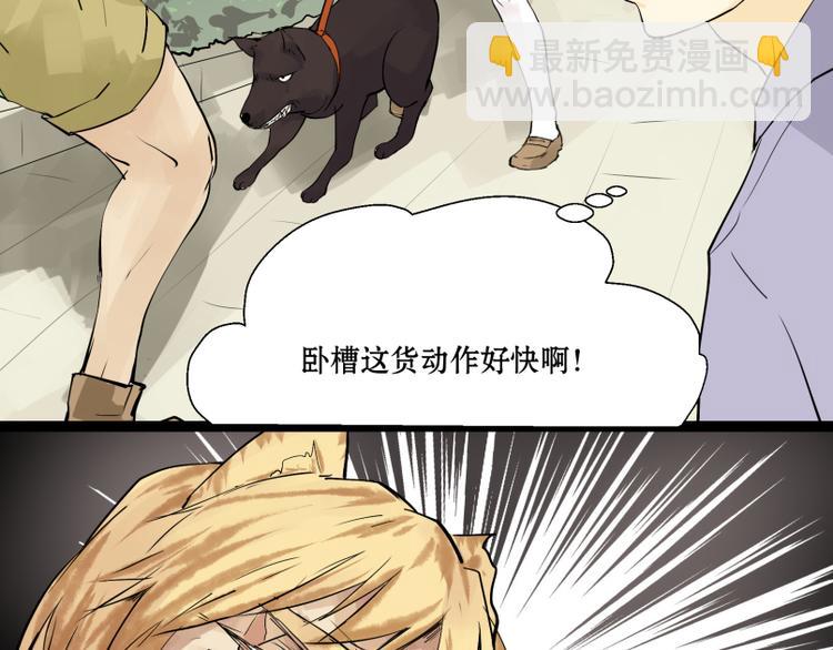 第8话 猫狗相遇6