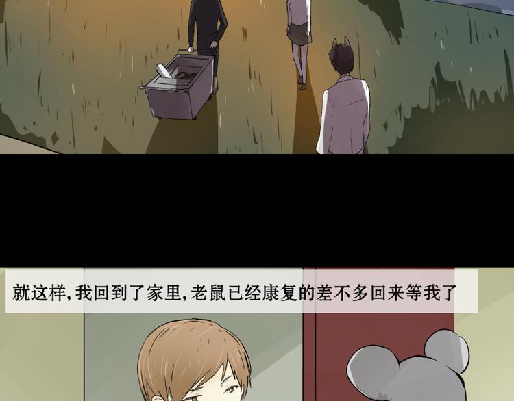 完结篇：猫，我不想失去你！28