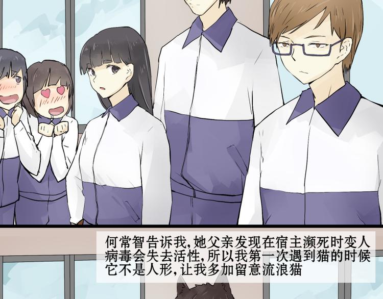 完结篇：猫，我不想失去你！32