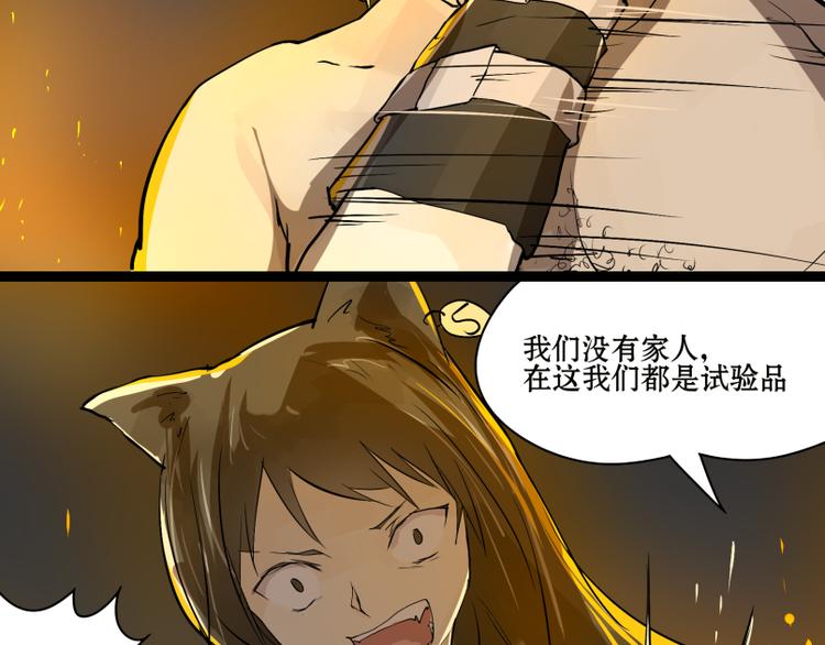 完结篇：猫，我不想失去你！2
