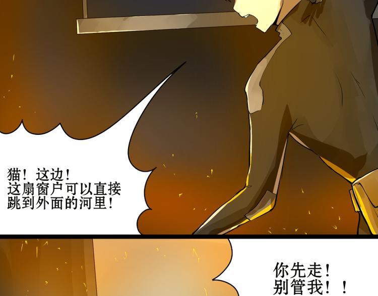 完结篇：猫，我不想失去你！4