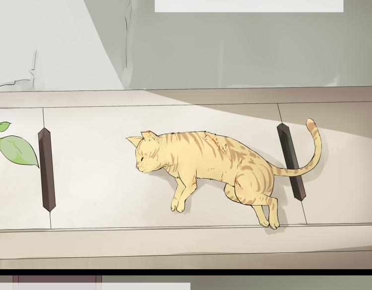 第1话 猫的报恩1
