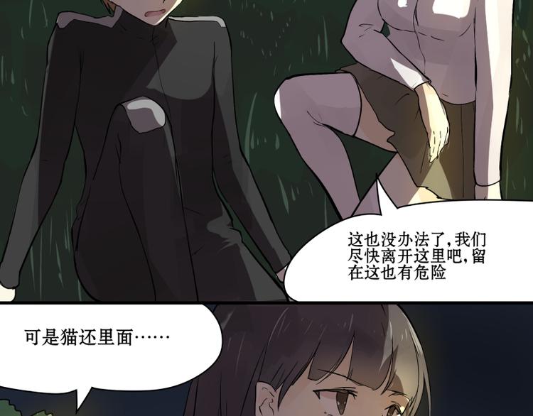 完结篇：猫，我不想失去你！24