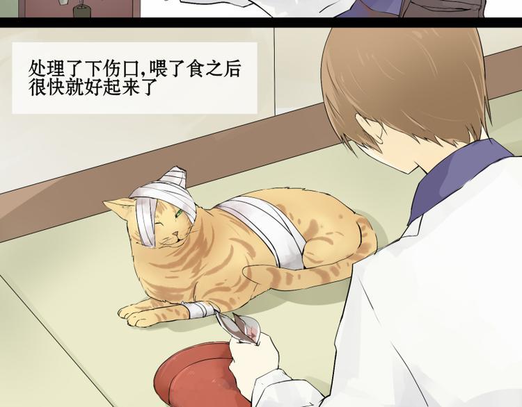 第1话 猫的报恩3