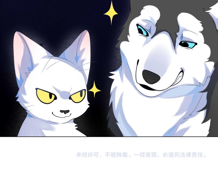 第4话 让暴风雨来得更猛烈些吧66