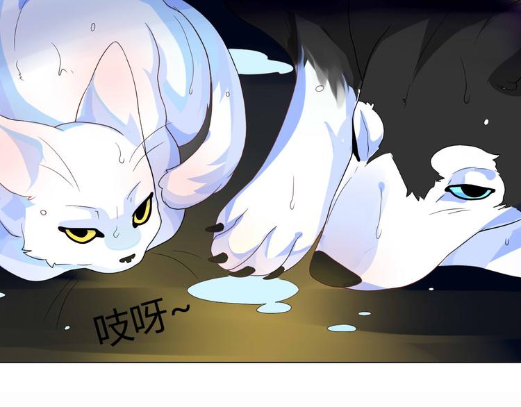 第4话 让暴风雨来得更猛烈些吧57