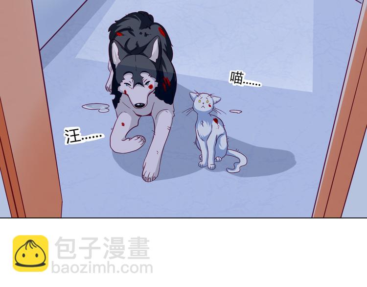 第13话 别怕，我们来保护你51
