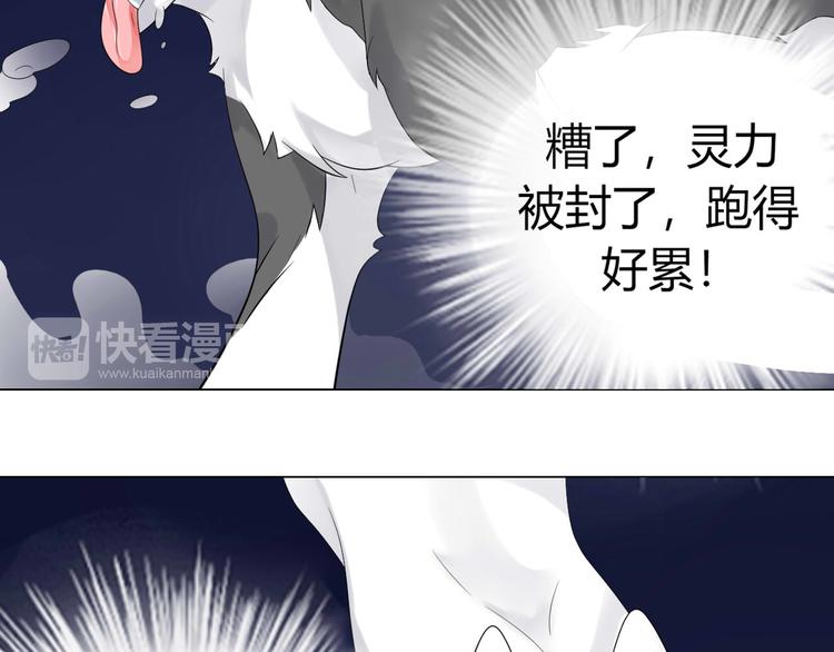 第1话 初遇61