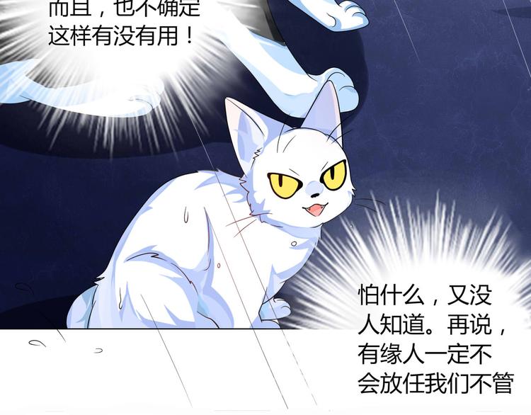 第4话 让暴风雨来得更猛烈些吧51