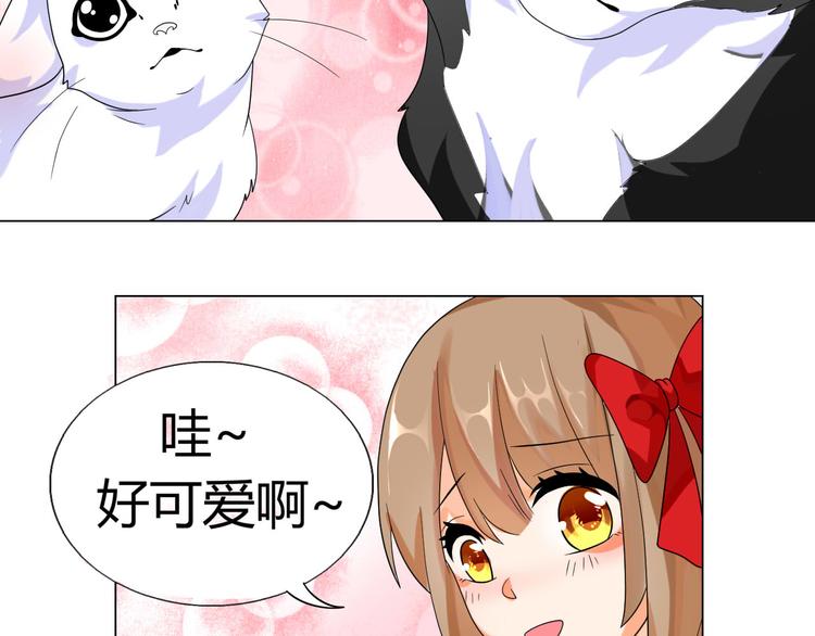 第4话 让暴风雨来得更猛烈些吧41
