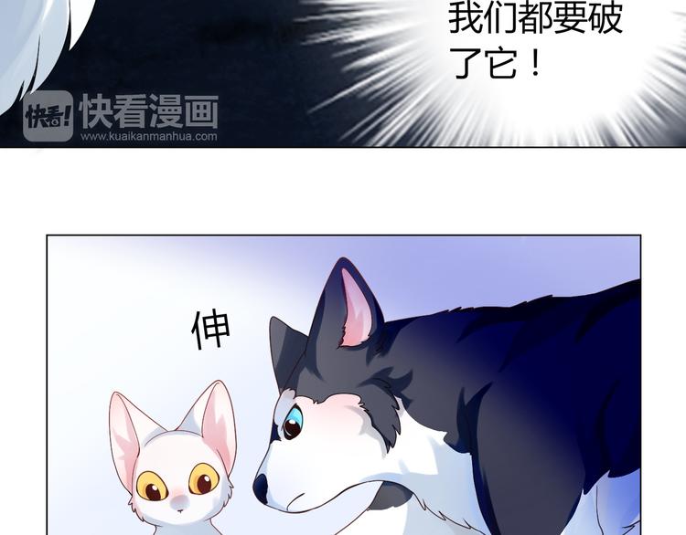 第5话 我才不要你们保护呢！50