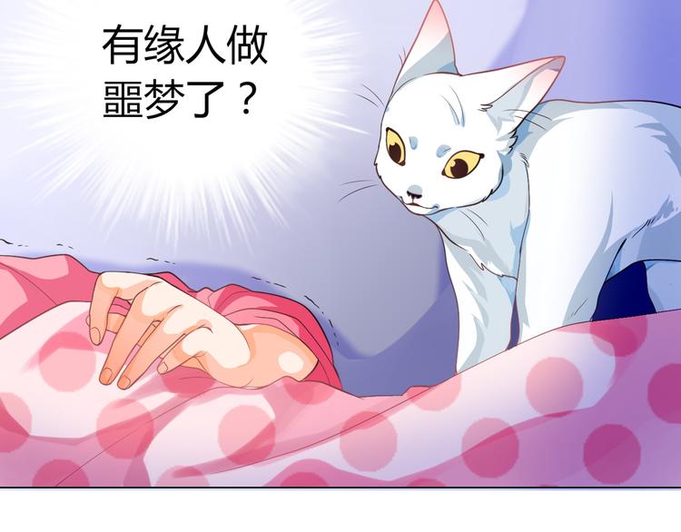 第5话 我才不要你们保护呢！41