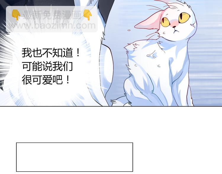 第5话 我才不要你们保护呢！11