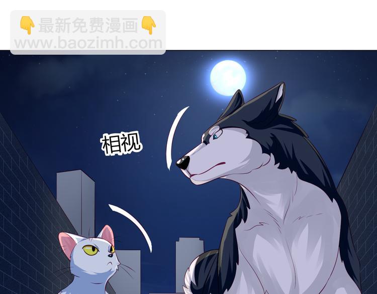 第13话 别怕，我们来保护你13