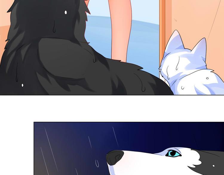 第4话 让暴风雨来得更猛烈些吧62